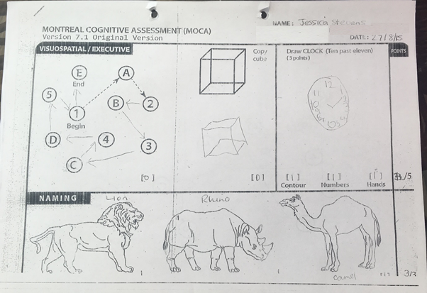 Lions and rhinos and camels, oh my!
